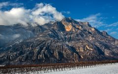 Tenuta San Leonardo Winery Image