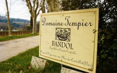 Domaine Tempier  Winery Image