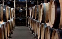 Philippe Pacalet Cellar and Wine Library Winery Image