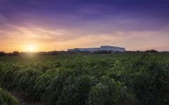 Finca Antigua  Winery Image