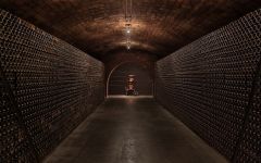 Freixenet Freixenet Cellar and Wine Library Winery Image