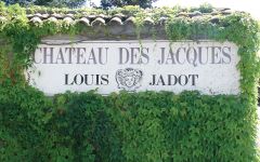 Chateau des Jacques - Louis Jadot Winery Image
