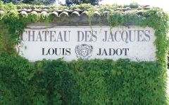 Chateau des Jacques - Louis Jadot  Winery Image