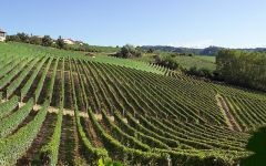 Ascheri The Serralunga d’Alba Estate Winery Image