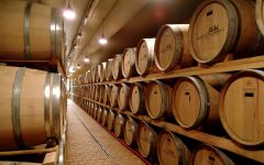 Marchesi di Barolo The Cellar Winery Image