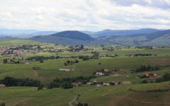 Stephane Aviron  Winery Image