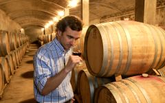 Warre's Pedro Correia - Winemaker Winery Image