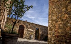 Piccini Piccini Tasting Room Winery Image