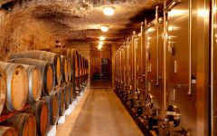 Domaine Paul Buisse Winery Image