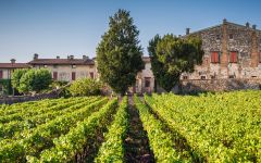 Berlucchi Winery Image