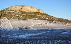 Domaine Saumaize-Michelin Winery Image