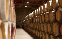 Bodegas Bilbainas Barrel Room Winery Image