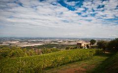 Il Marroneto Winery Image