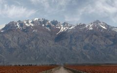 Terrazas de los Andes Winery Image