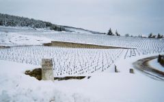 Domaine Pierre Gelin Winery Image