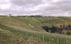 Giacomo Borgogno & Figli Winery Image