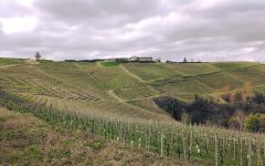 Giacomo Borgogno & Figli  Winery Image