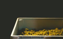 Lioco Night Pick, Santa Cruz Mountains Winery Image