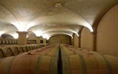 Albet I Noya Barrel Room at the Winery Winery Image