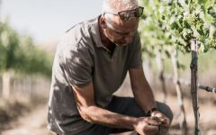 Chasing Rain Gianfranco Farimbella - Vineyard Manager Winery Image