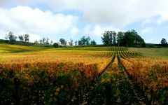 Clover Hill Winery Image
