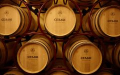 Cesari Winery Image