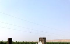 Luke Wahluke Photo No Trespassing Winery Image