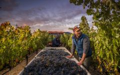 Sequoia Grove Vineyards Vineyard Director - Jake Terrell Winery Image