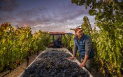 Sequoia Grove Vineyards Vineyard Director - Jake Terrell Winery Image