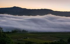 Dry Creek Vineyard Fog Rolling Over the Estate Winery Image