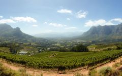 Capensis Winery Image