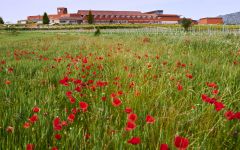 Enate Enate winery in Somontano Winery Image