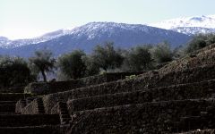 Tascante Vineyard Terraces Winery Image