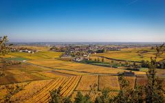 Domaine Francois Mikulski  Winery Image