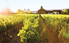 Turnbull Turnbull Home Vineyard Winery Image