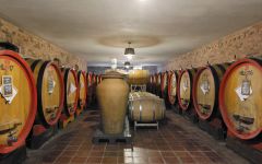 Giuseppe Cortese Giuseppe's Aging Cellar  Winery Image