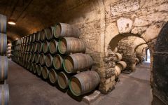 Marques de Riscal Aging Barrels Winery Image