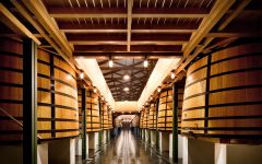 Chateau Mouton Rothschild The Vat Room Winery Image