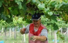 Benito Santos Winery Image