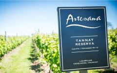 Artesana Tannat Reserva Vineyard Winery Image