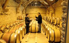 Rotem & Mounir Saouma Rotem & Mounir Saouma in the Barrel Room Winery Image