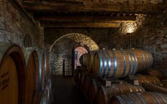 Tenuta di Capraia Winery Image