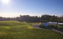 Paul Hobbs Winery Image