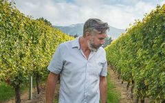 Nobilo David Edmonds, Nobilo Winemaker Winery Image