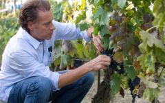 Palladio Owner Alberto Antonini in the Vineyard Winery Image