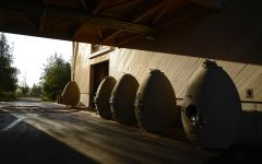 Perez Cruz Perez Cruz Cement Vats Winery Image