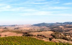 Alto Moncayo  Winery Image