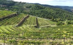 Castelli del Grevepesa  Winery Image