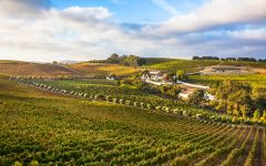 Quinta de Chocapalha Winery Image