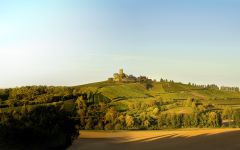 Weingut Burg Ravensburg  Winery Image